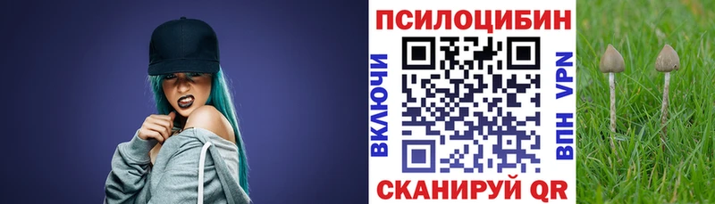 Купить закладки  Чаплыгин  Галлюциногенные грибы прущие грибы 